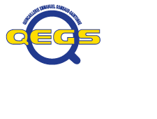 QEGS